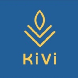 KiVi Fintech